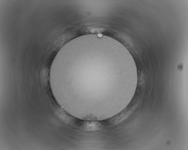 X0000116890321201002021214