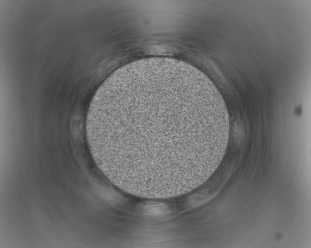 X0000116890322201002021214