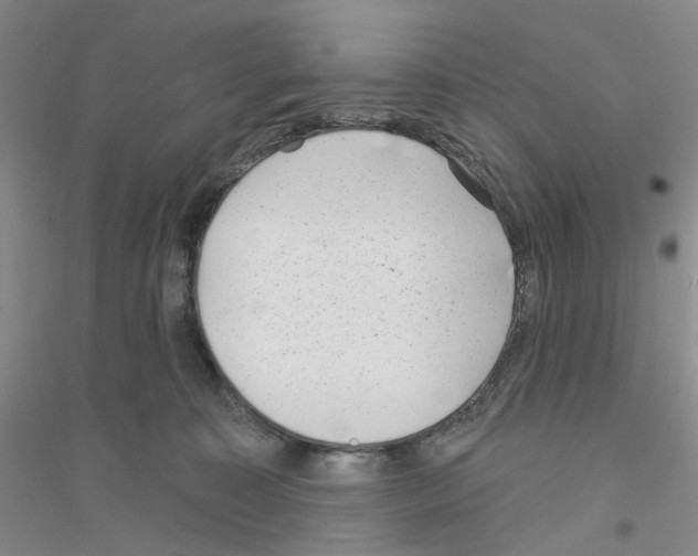 X0000116890323201002021214