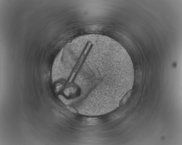 X0000116890324201002021214