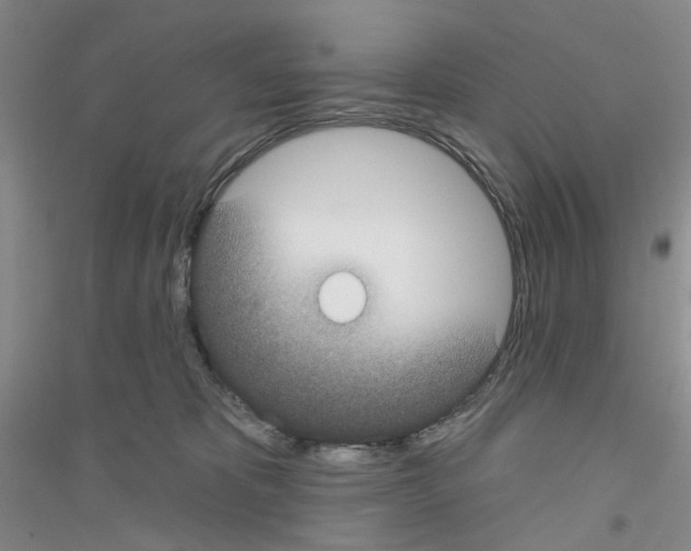 X0000116890325201002021214