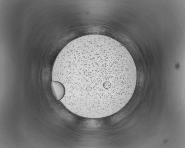 X0000116890326201002021214