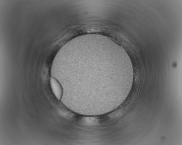 X0000116890327201002021214