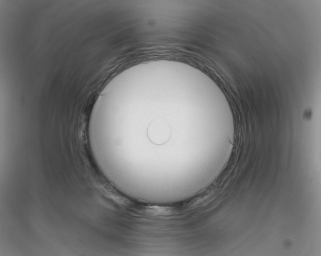 X0000116890328201002021214