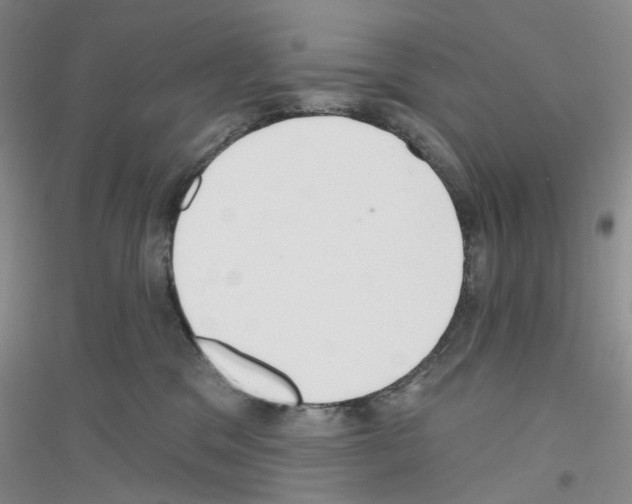 X0000116890329201002021214