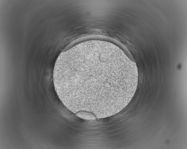 X0000116890331201002021214