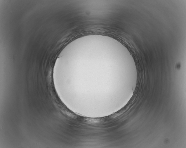 X0000116890332201002021214