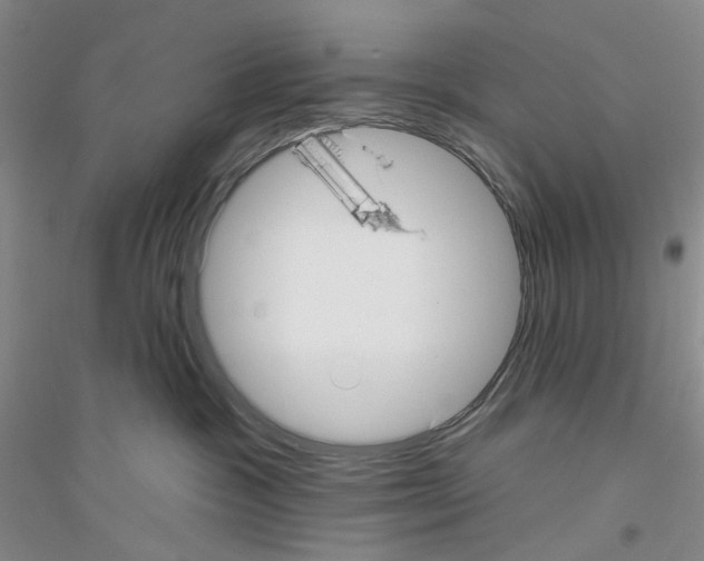 X0000116890333201002021214