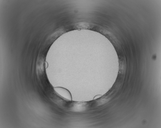 X0000116890334201002021214