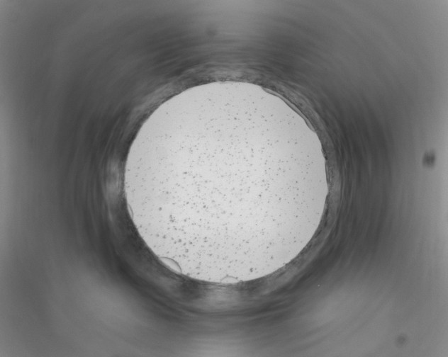 X0000116890335201002021214