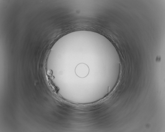 X0000116890336201002021214