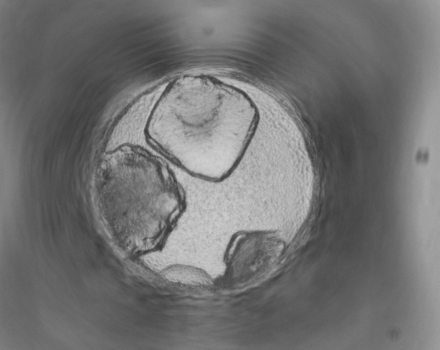 X0000116890337201002021213