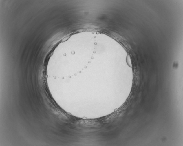 X0000116890338201002021213