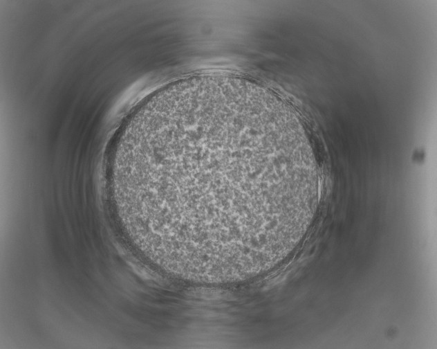 X0000116890339201002021214