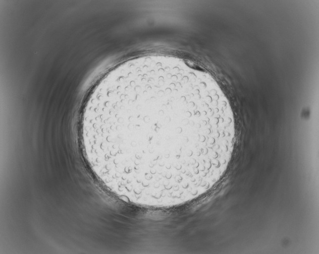 X0000116890341201002021214