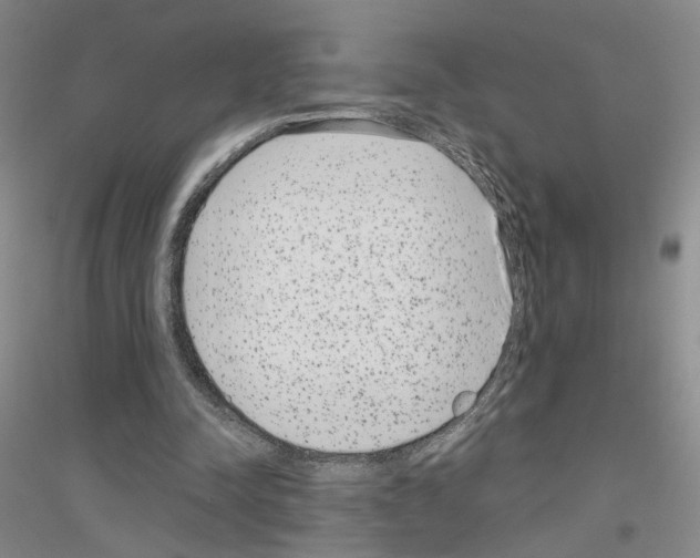 X0000116890342201002021214