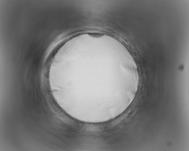 X0000116890343201002021214