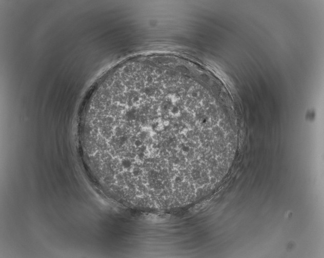 X0000116890346201002021214