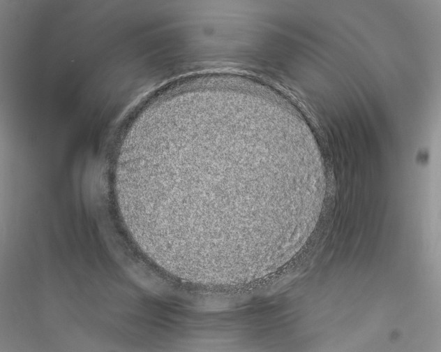 X0000116890347201002021214