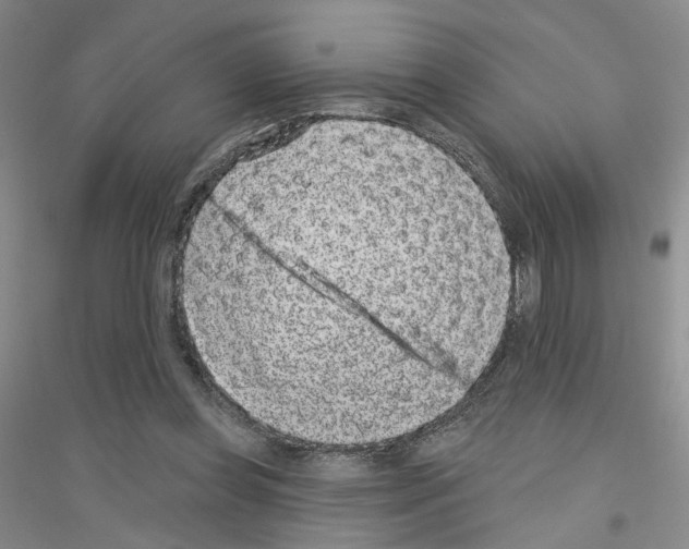 X0000116890349201002021214