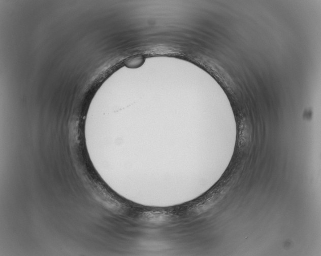 X0000116890351201002021214