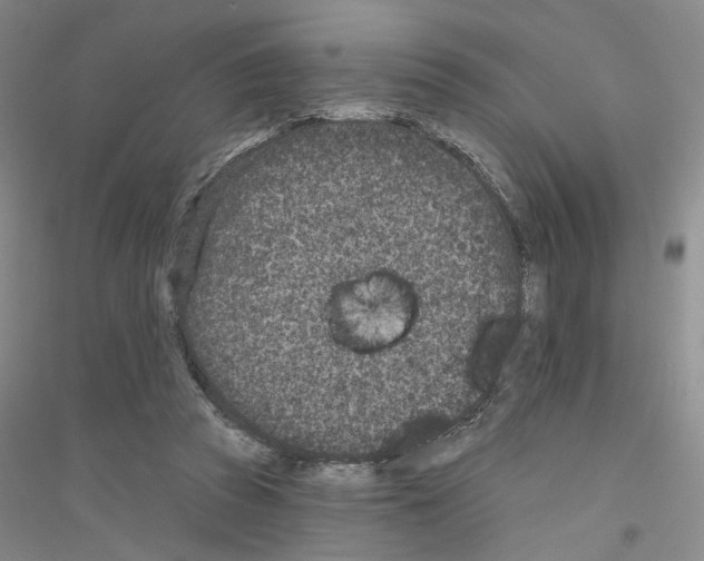 X0000116890353201002021214