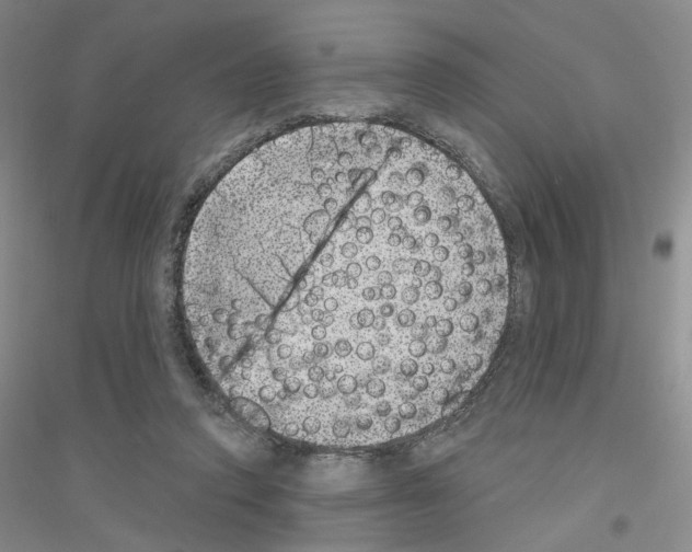 X0000116890354201002021214