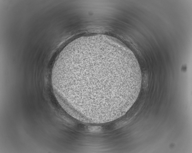 X0000116890355201002021214