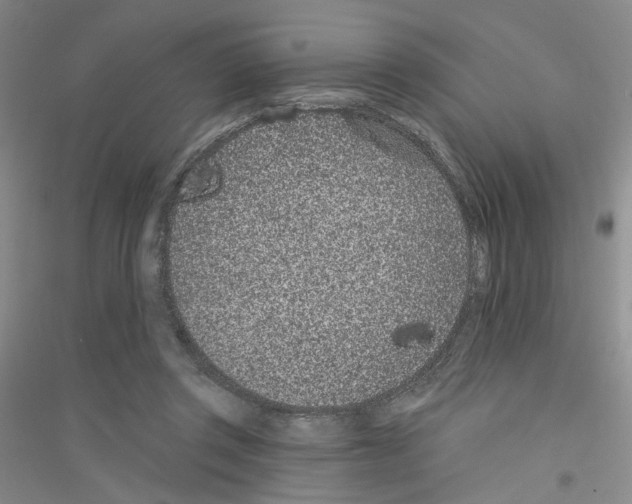 X0000116890357201002021214