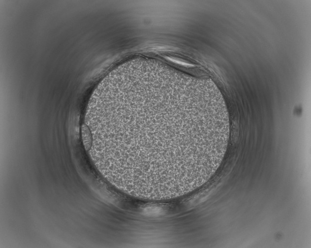 X0000116890358201002021214