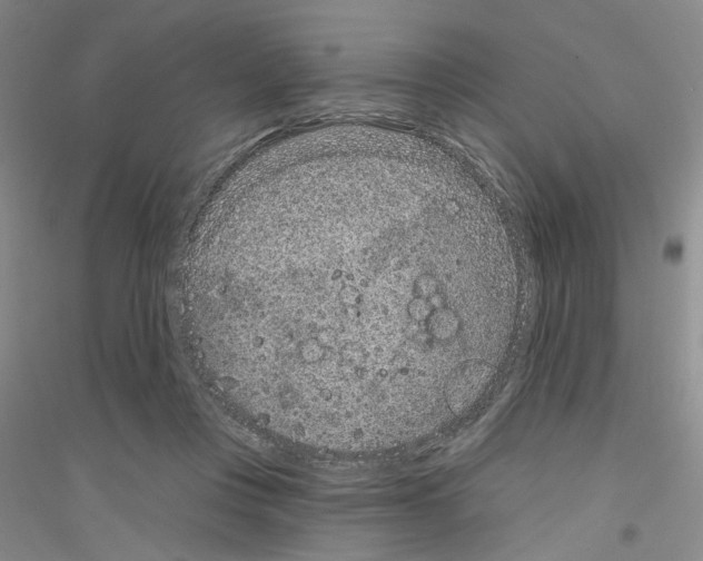 X0000116890359201002021214