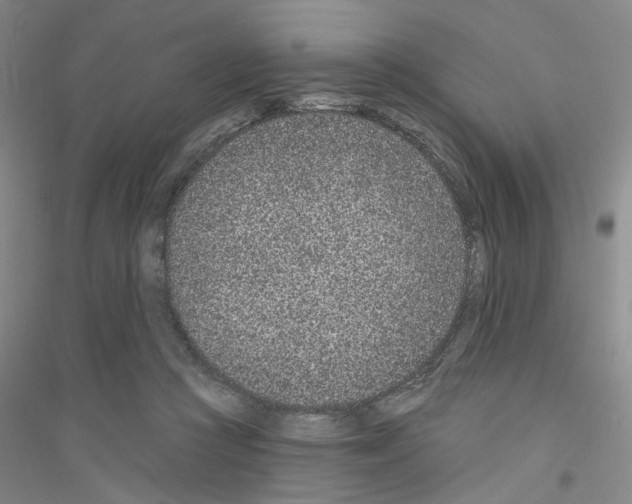 X0000116890361201002021214