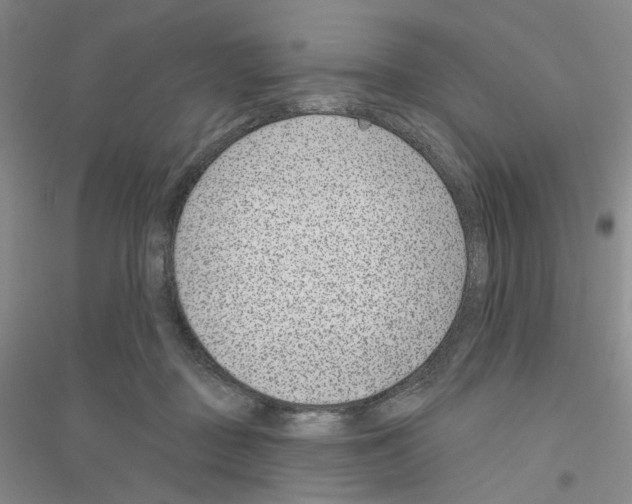 X0000116890363201002021214