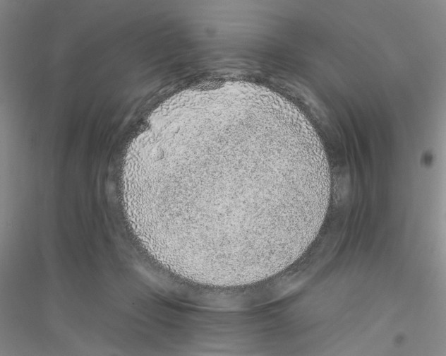 X0000116890365201002021214