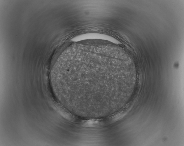 X0000116890366201002021214