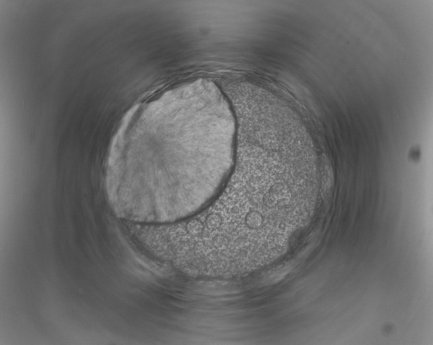 X0000116890367201002021214