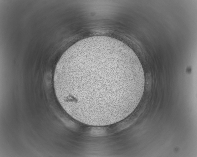 X0000116890369201002021214