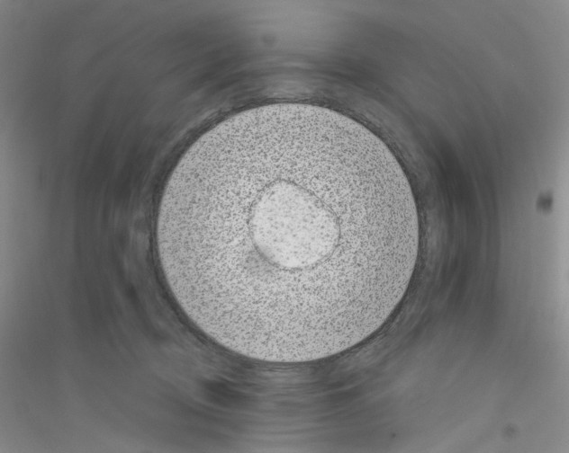 X0000116890370201002021214