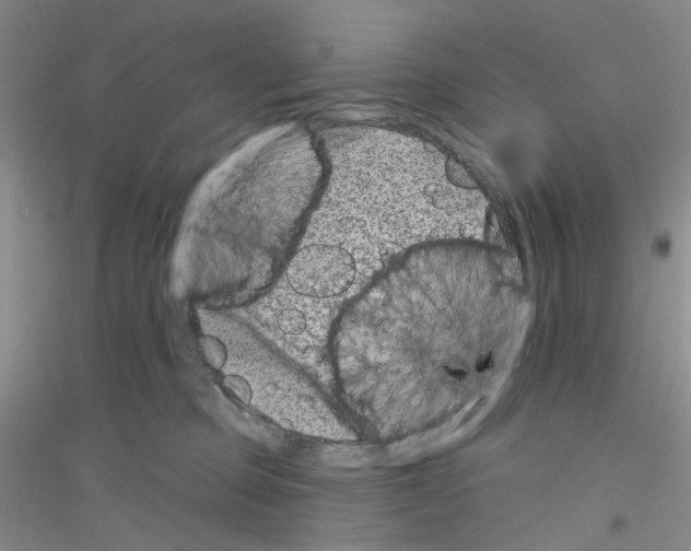 X0000116890373201002021214