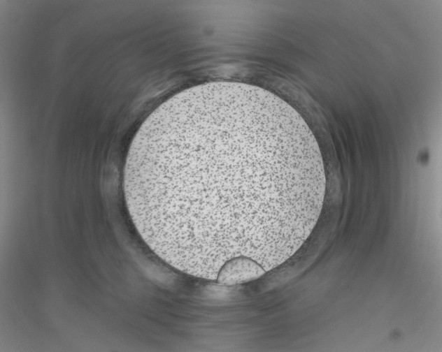 X0000116890375201002021214