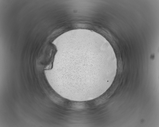 X0000116890377201002021214