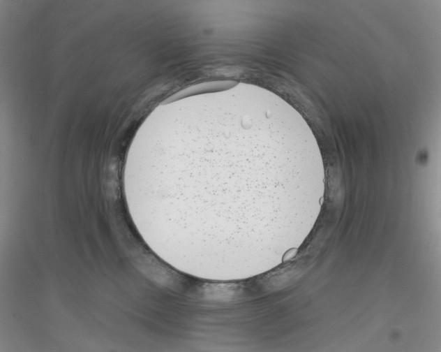 X0000116890378201002021214