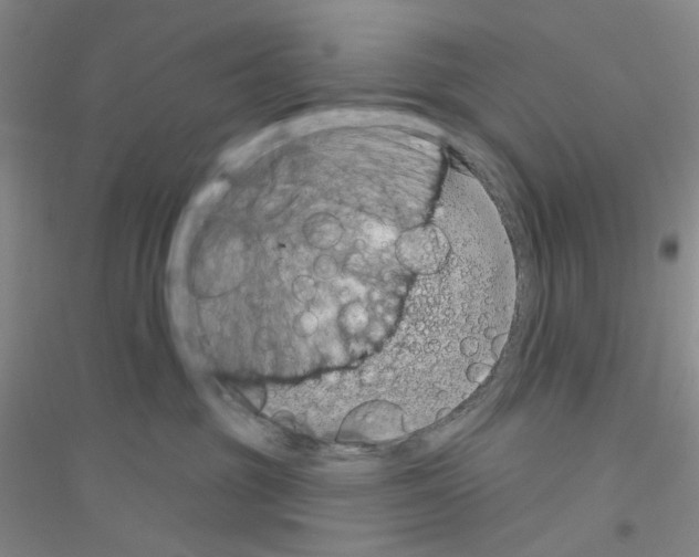 X0000116890381201002021214