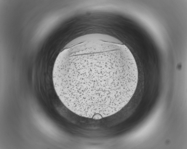 X0000116890382201002021214