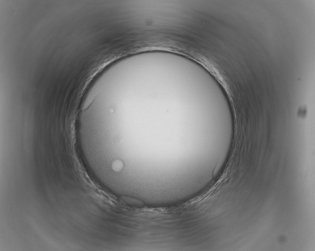 X0000116890386201002021213