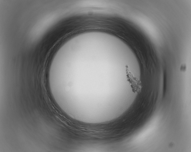 X0000116890387201002021213