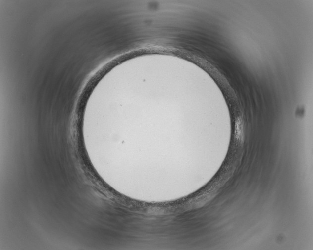 X0000116890388201002021213