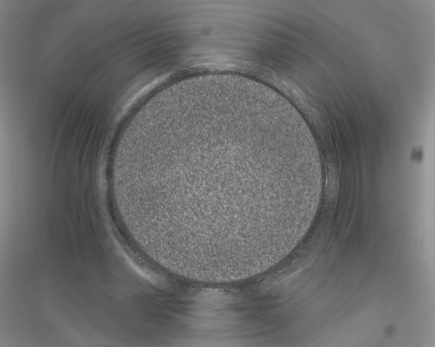 X0000116890390201002021213