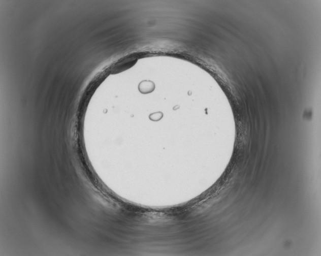 X0000116890392201002021213