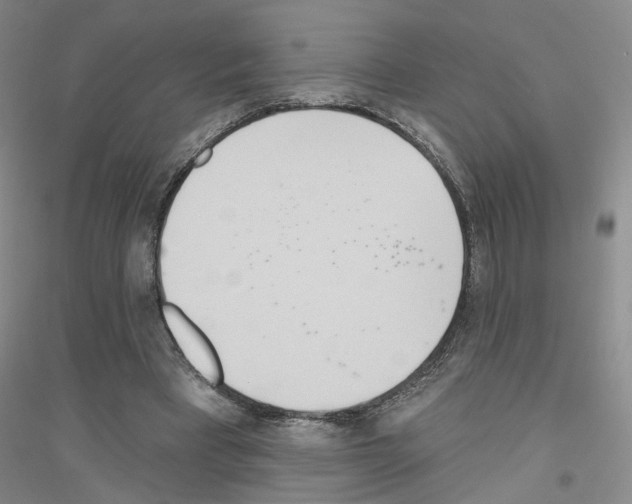 X0000116890393201002021213